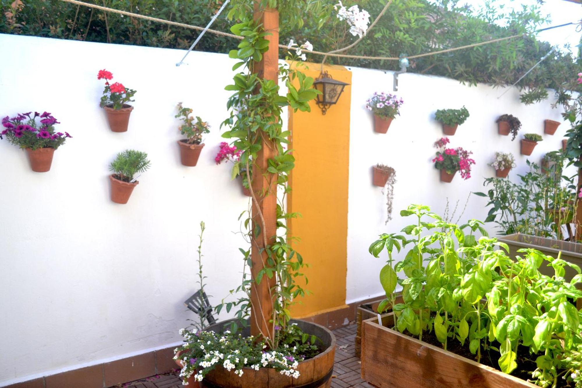Chalets En Sancti Petri Novo Sancti Petri Luaran gambar